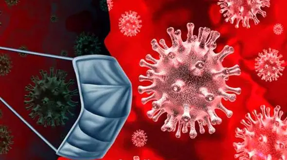 پاتک پلیس به یک پارتی / مجرم ها اسپانیایی زیر تخت قایم شدند