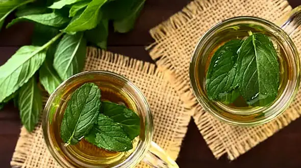 خواص عرق نعناع برای معده