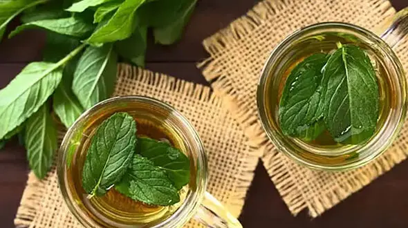 خواص عرق نعناع برای معده
