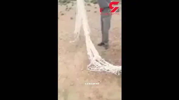 نجات بزمجه از چاه در شاهرود + فیلم 