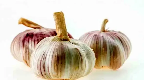 14 سبزی و صیفی حیاتی برای بدن 