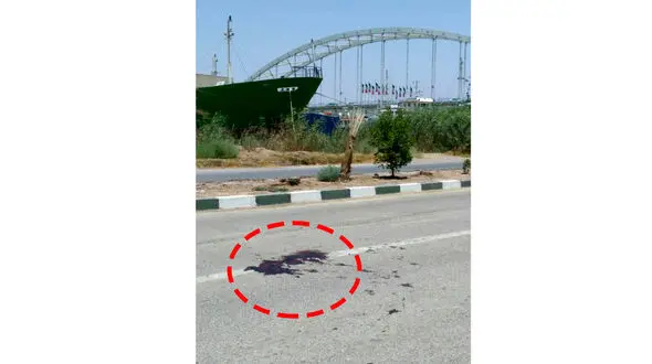 قتل پیرمرد تنها به خاطر ضمانت از یک قاتل زندانی+عکس