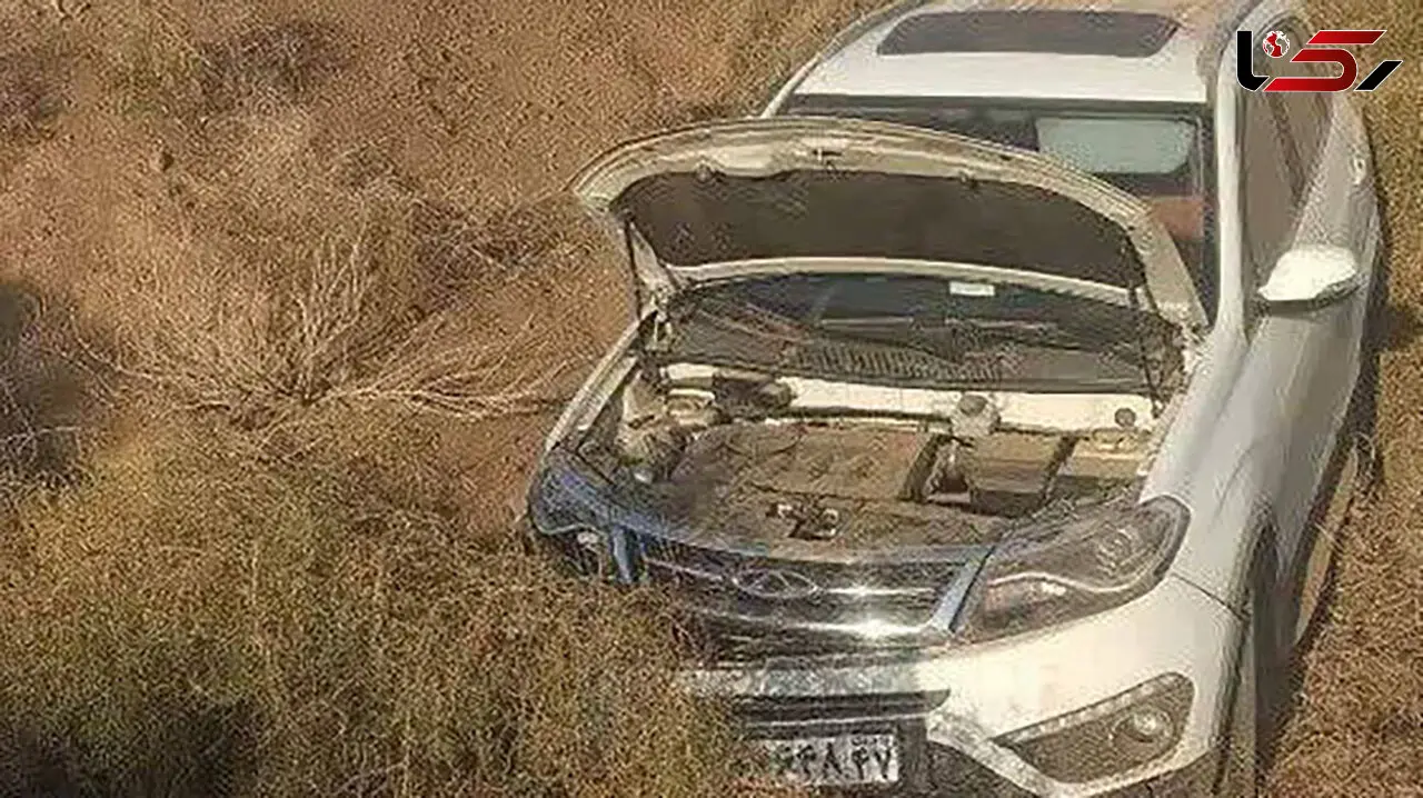 سقوط خونین تیگو 8 از بالای پل در جاده میامی / 6 نفر راهی بیمارستان شدند