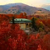 از کاخ های تهران تا سرسبزی زندگی در گیلان