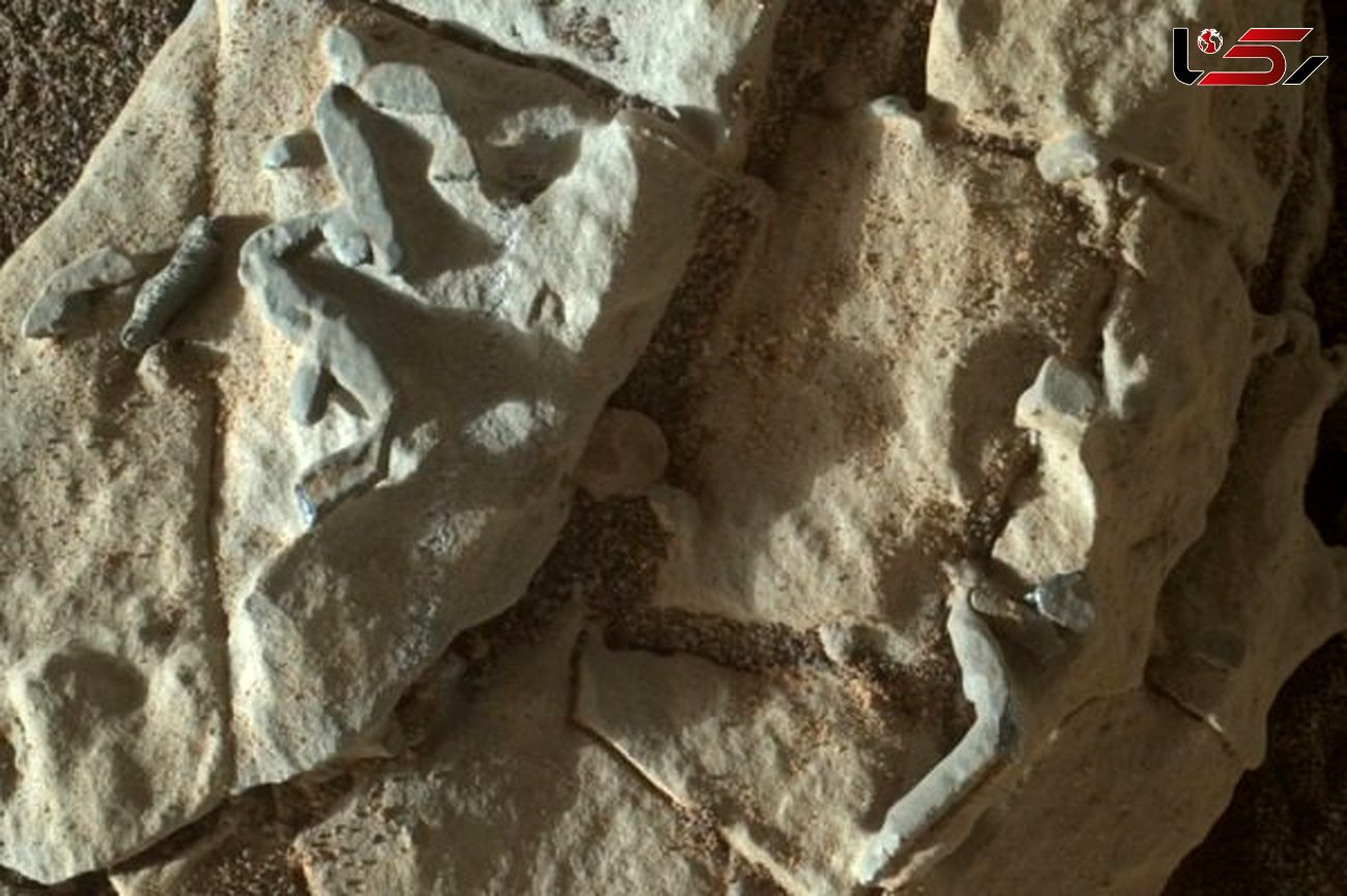 نشانه های از حیات در کره مریخ کشف شد
