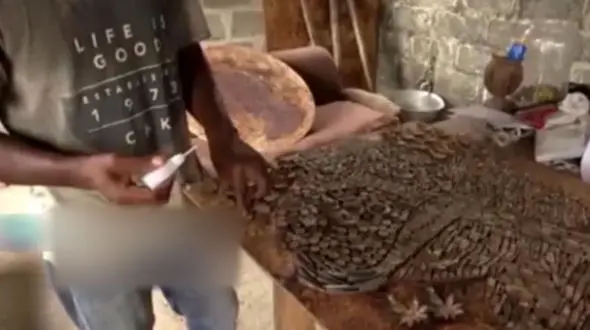 خلق آثار هنری با پوست این میوه سخت جان ! + فیلم