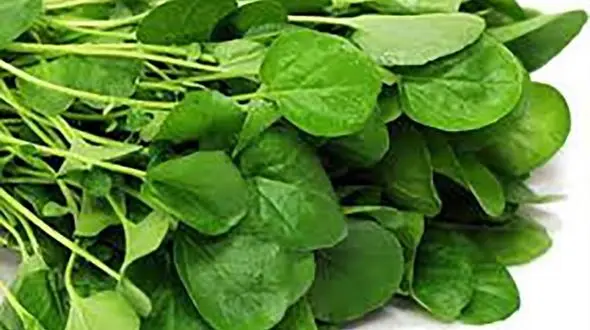 چربی سوزی با کلسیم 