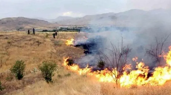 احتمال وقوع آتش سوزی‌های سریالی در تهران با گرم شدن هوا / از اردیبهشت تا پایان مردادماه