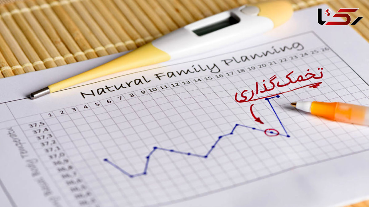 تخمک گذاری چیست؟ / بهترین و بدترین کارها در تقویت تخمک گذاری