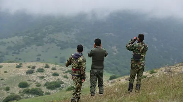 حکم جالب برای یک متخلف زیست محیطی/ ساخت مستند حیات وحش به جای زندان!