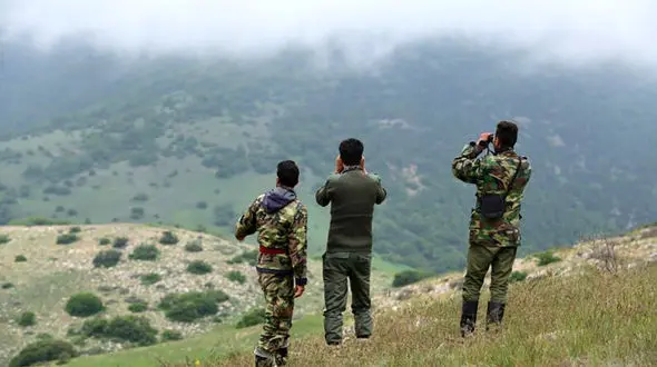 حکم جالب برای یک متخلف زیست محیطی/ ساخت مستند حیات وحش به جای زندان!