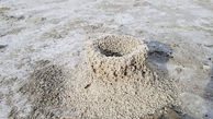قلعه سازی مورچه‌ها در کف دریاچه بختگان / محققان به کمک منابع طبیعی فارس بروند