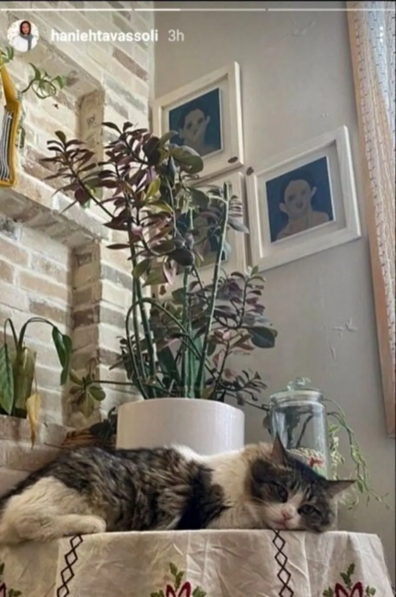 منزل هانیه توسلی