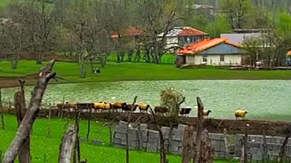 روستای استخرگاه از جاذبه های گردشگری و رویایی گیلان + فیلم 