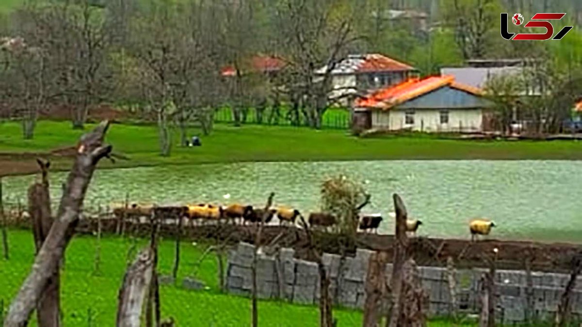روستای استخرگاه از جاذبه های گردشگری و رویایی گیلان + فیلم