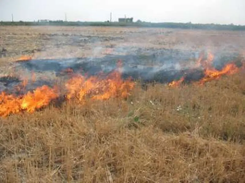 رشت 8 - Copy