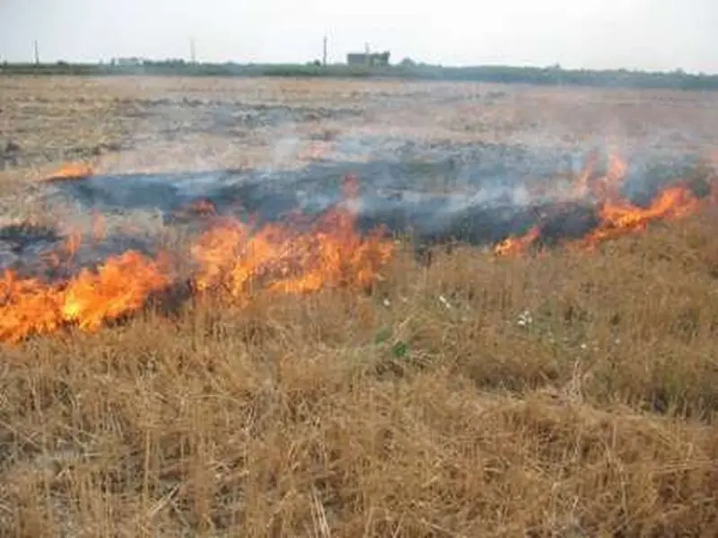 رشت 8 - Copy