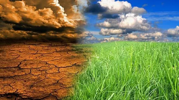 چالش جدی امنیت غذایی پیش روی سیاستگذاران ایران