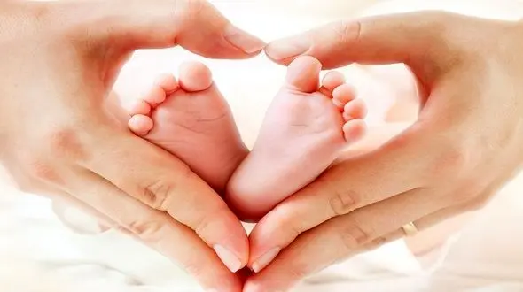 شرایط واگذاری زمین به متقاضیان طرح جوانی جمعیت چیست؟