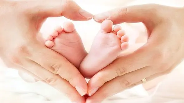 شرایط واگذاری زمین به متقاضیان طرح جوانی جمعیت چیست؟