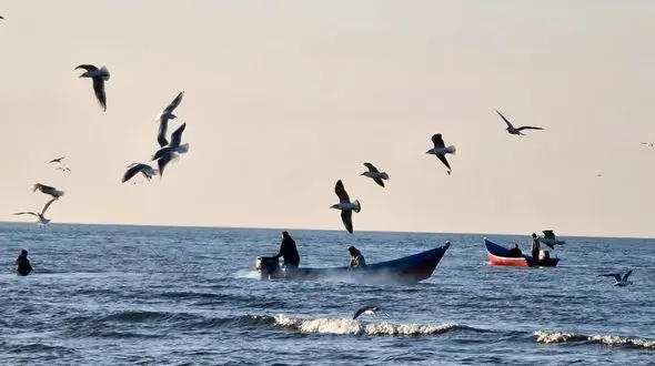 افزایش آب خاکستری در بستر خزر / هیچ تصفیه خانه ای در حاشیه دریا از 5 ضلع  وجود ندارد/  آب شیرین کن‌ها بلای حیات خزر