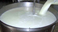 البرز دارای رتبه نهم تولید شیر درکشور