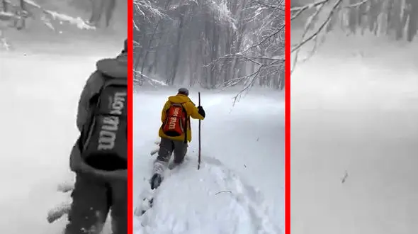 فیلم منظره دیدنی برف در جنگل دیلمان