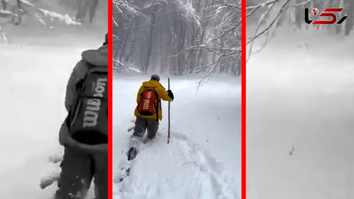 فیلم منظره رویایی برف در جنگل های دیلمان