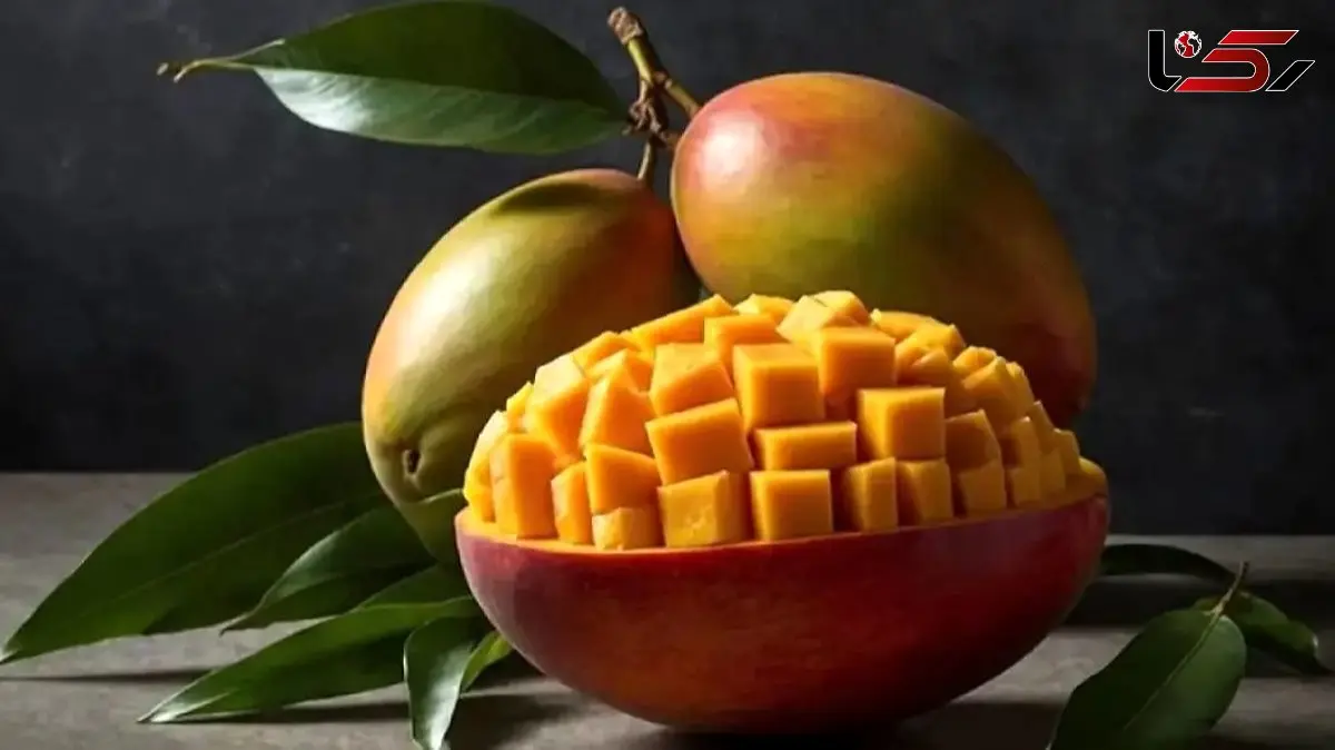 از تقویت ایمنی تا سلامت پوست: فواید باور نکردنی انبه در رژیم روزانه