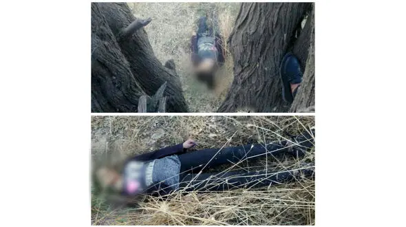 عکس دختر سنندجی که با روسری از یک درخت آویزان بود! + تصاویر دلخراش 