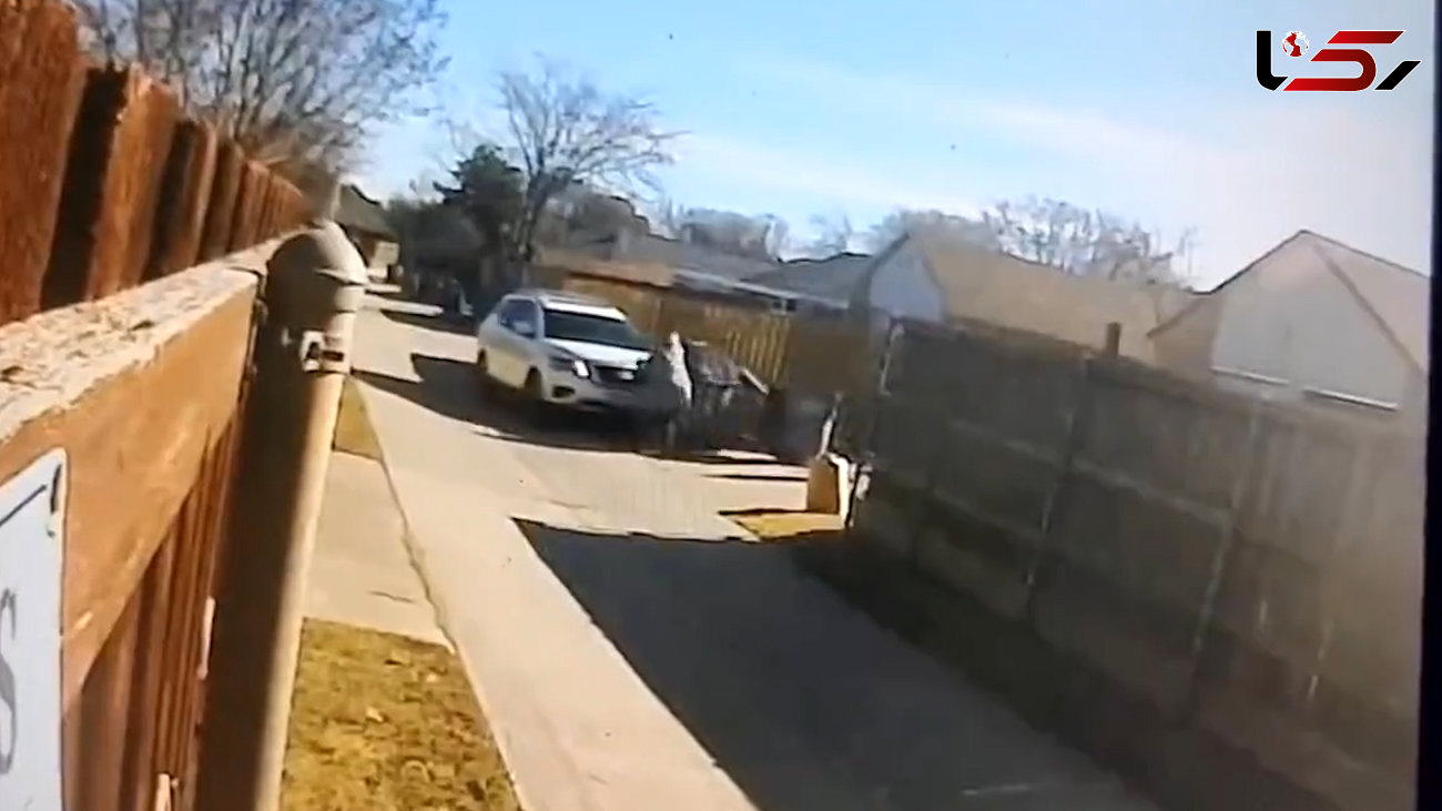 فیلم عجیب از دعوای 2 همسایه بخاطر جای سطل زباله / با ماشین از روی هم رد شدند