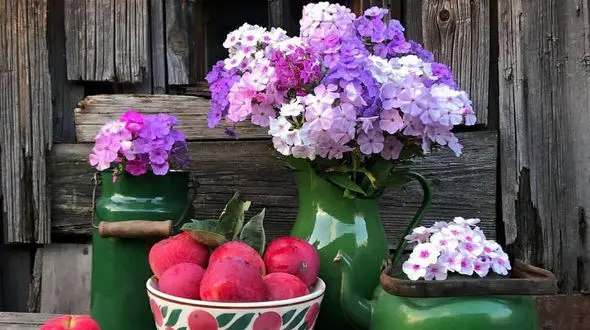 فال ابجد امروز 9 دی + فیلم 