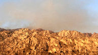 آتش سوزی در ارتفاعات بوشکان دشتستان