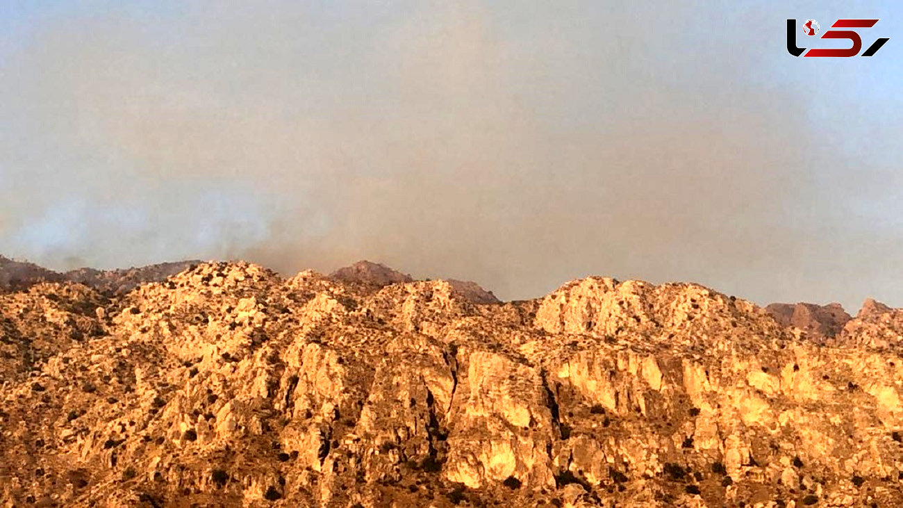آتش سوزی در ارتفاعات بوشکان دشتستان