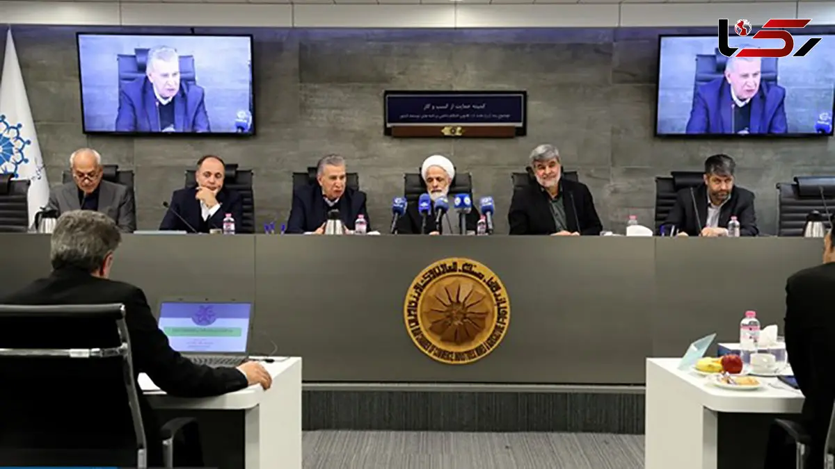 انتقاد از چندنرخی بودن گندم و رانت در زنجیره آرد و نان / وزارت نیرو مکلف به شفاف‌سازی قبوض و هزینه ترانزیت برق شد