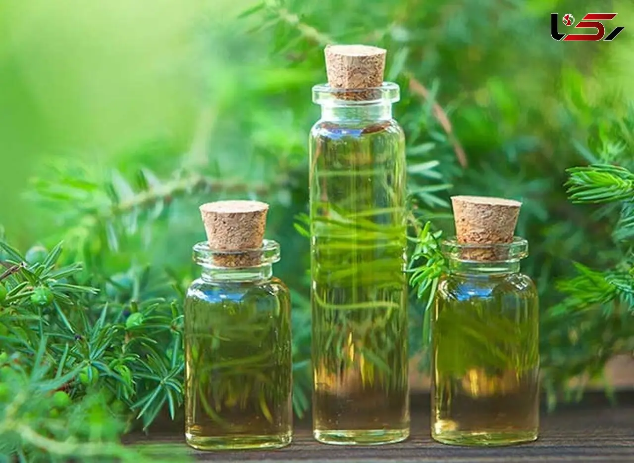 درمان قارچ ناخن با روغن درخت چای