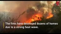 گرمای بیش از حد در شیلی جنگل‌ها و خانه‌ها را سوزاند !+فیلم