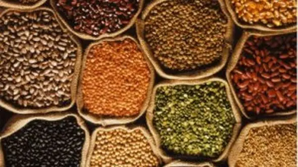هفت گروه کالای پرمصرف گران شدند