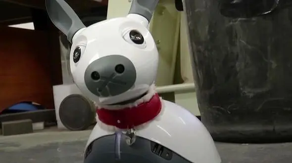 سگهای رباتیک به کمک سالمندان می روند+عکس