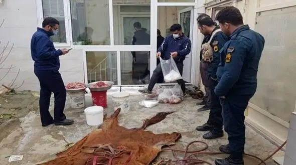 مرد سنندجی خانه اش را کشتارگاه اسب کرده بود / گوشت اسب ها چه می شد ؟