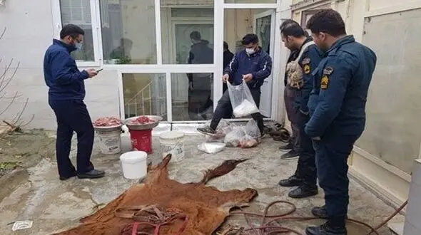 مرد سنندجی خانه اش را کشتارگاه اسب کرده بود / گوشت اسب ها چه می شد ؟