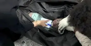 روز دختر در ایران زیر آوار سکوت جهانی که "فقط" شعار حمایت از کودکان را می دهد / بیش از 100 دختربچه در 40 روز کشته شدند، کجایید؟