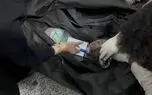 روز دختر در ایران زیر آوار سکوت جهانی که "فقط" شعار حمایت از کودکان را می دهد / بیش از 100 دختربچه در 40 روز کشته شدند، کجایید؟