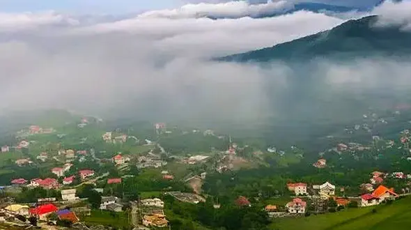 از جنگل لفور تا گیلان سرزمینی با گردی از زندگی