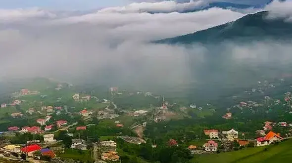 از جنگل لفور تا گیلان سرزمینی با گردی از زندگی