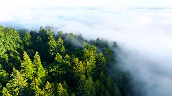 ریلکس کنید / نماهنگ بی کلام آرامش بخش به همراه تصاویر طبعیت دل انگیز + فیلم 