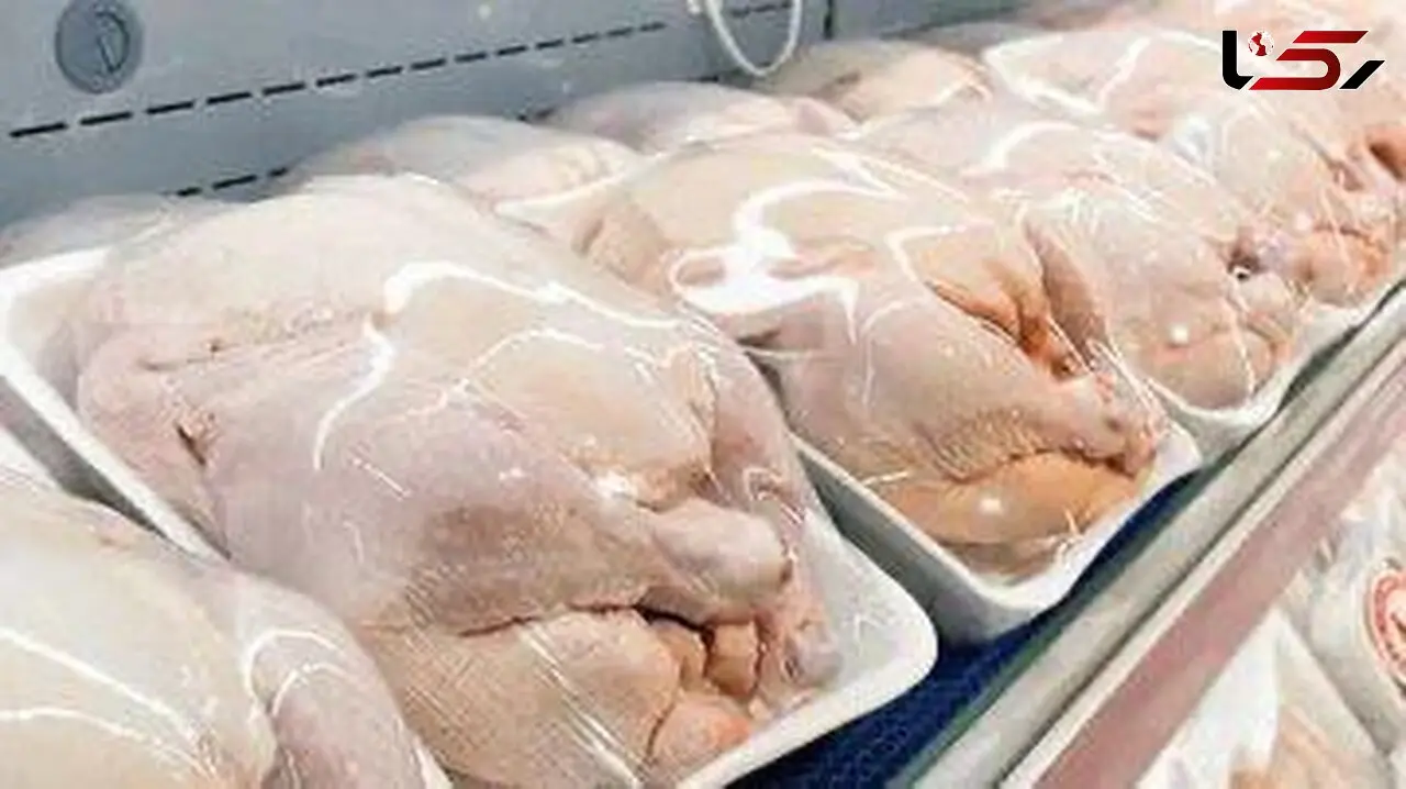 مصرف خانگی گوشت بوفالو مجاز است