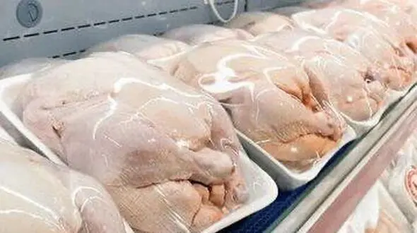مصرف خانگی گوشت بوفالو مجاز است