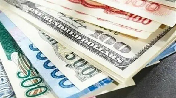 445متخلف ارزی بازداشت شدند/1200 پرونده متخلفان ارزی تشکیل و رسیدگی می شود