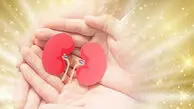 اهدای اعضای پرستار فداکار اصفهانی به چند بیمار جان دوباره بخشید